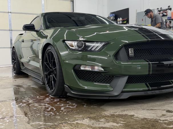 2019 Ford Shelbygt350